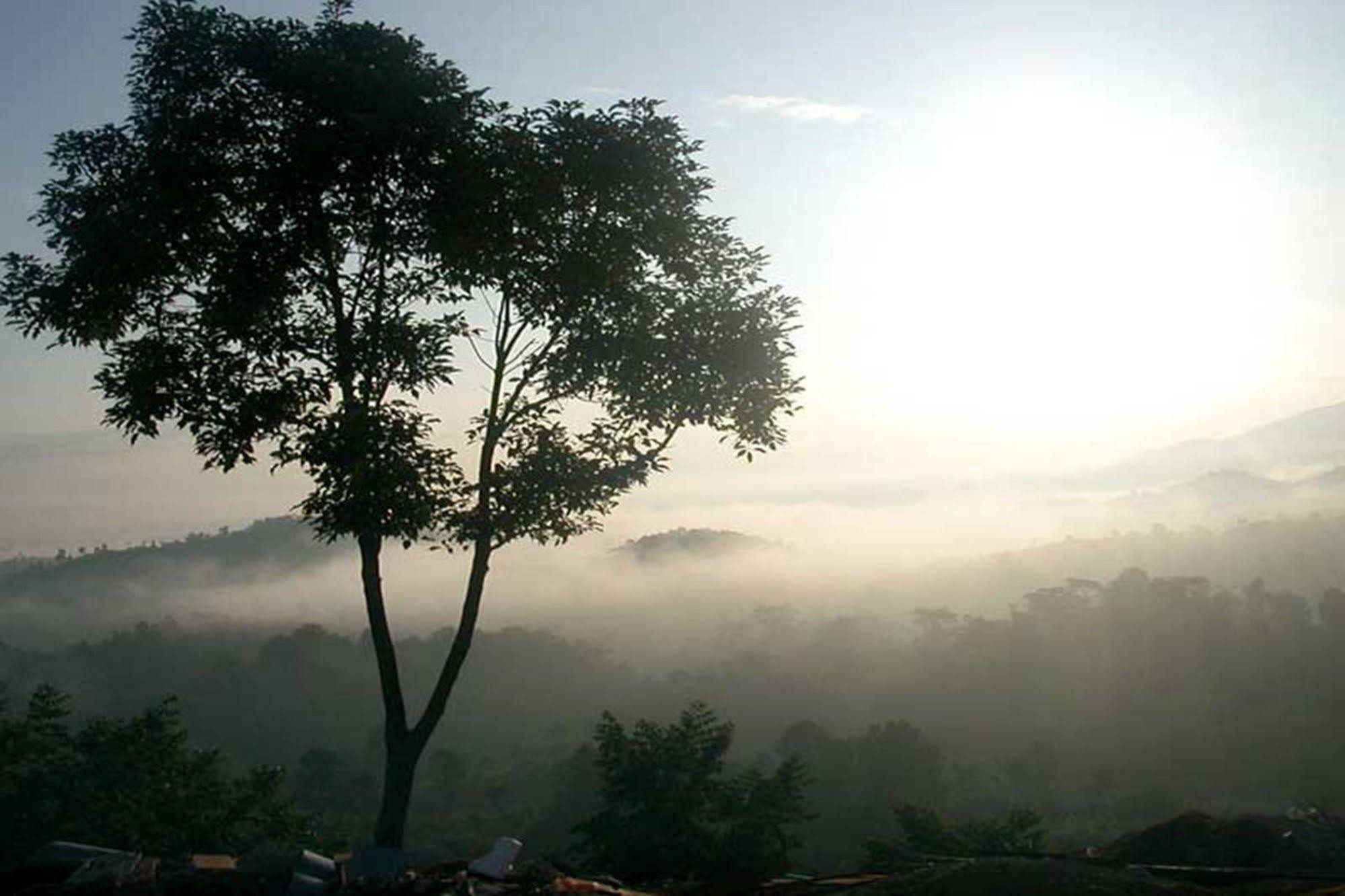 Chiang Rai Valley Resort @Doi Hom Fha แม่จัน ภายนอก รูปภาพ
