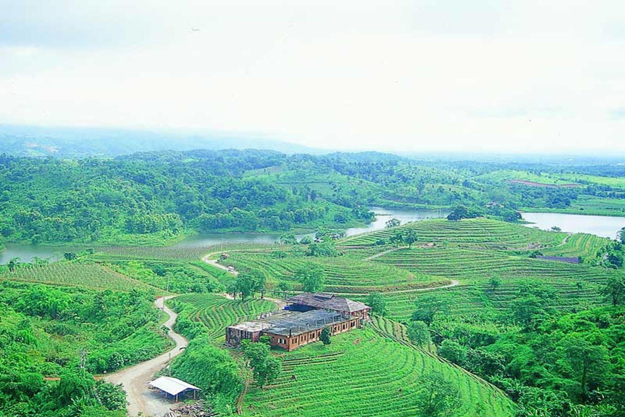 Chiang Rai Valley Resort @Doi Hom Fha แม่จัน ภายนอก รูปภาพ