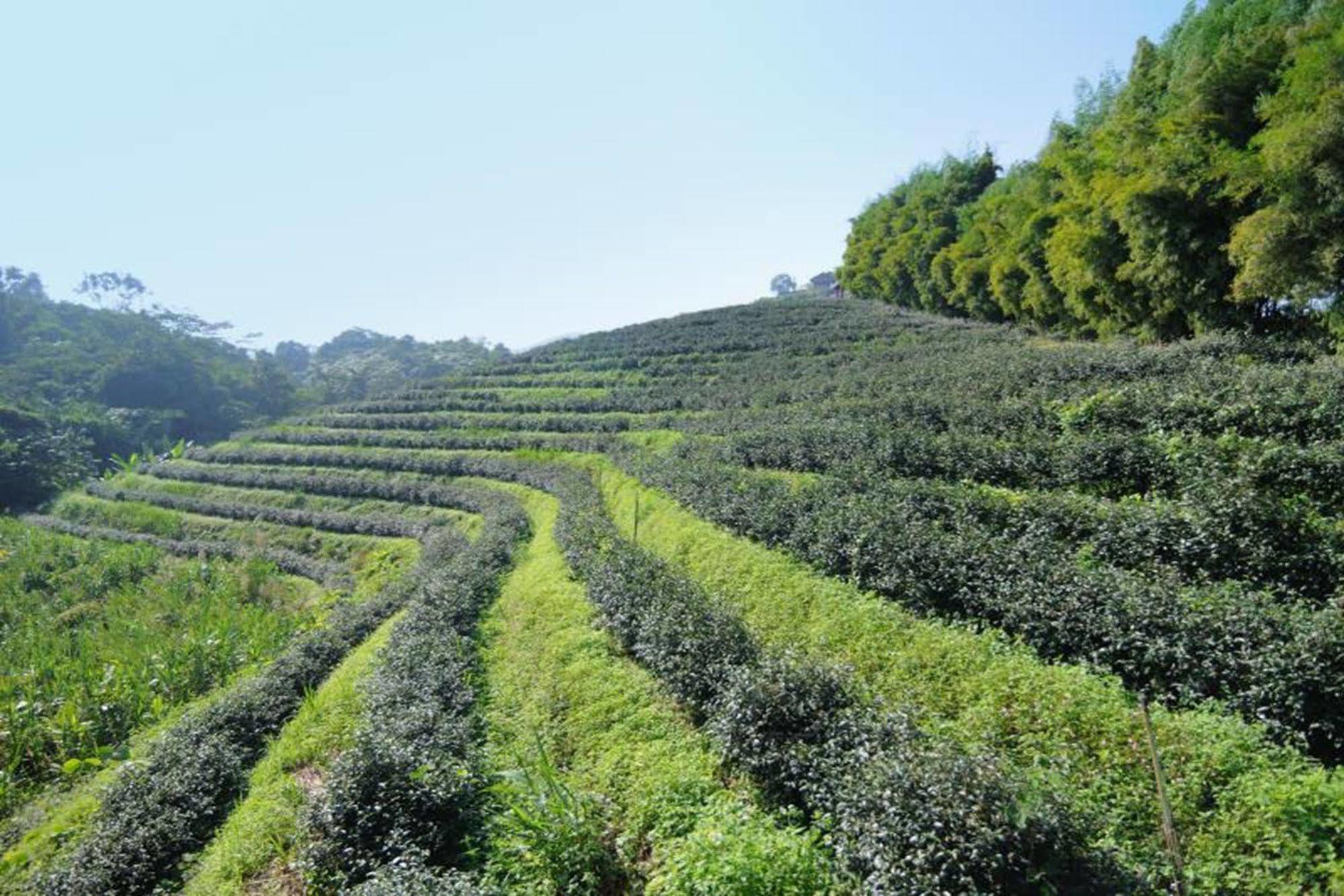 Chiang Rai Valley Resort @Doi Hom Fha แม่จัน ภายนอก รูปภาพ